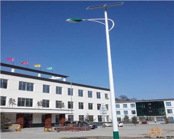 湖北市電景觀路燈-湖北省慶陽市華池縣五蛟鄉中學路燈工程