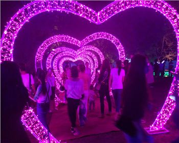 青海燈光節-節日亮化