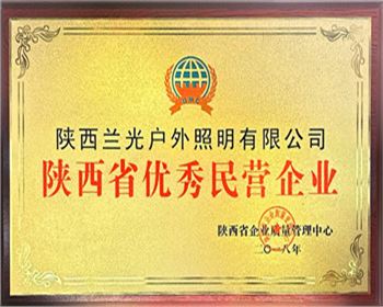 陜西省優(yōu)秀民營(yíng)企業(yè)